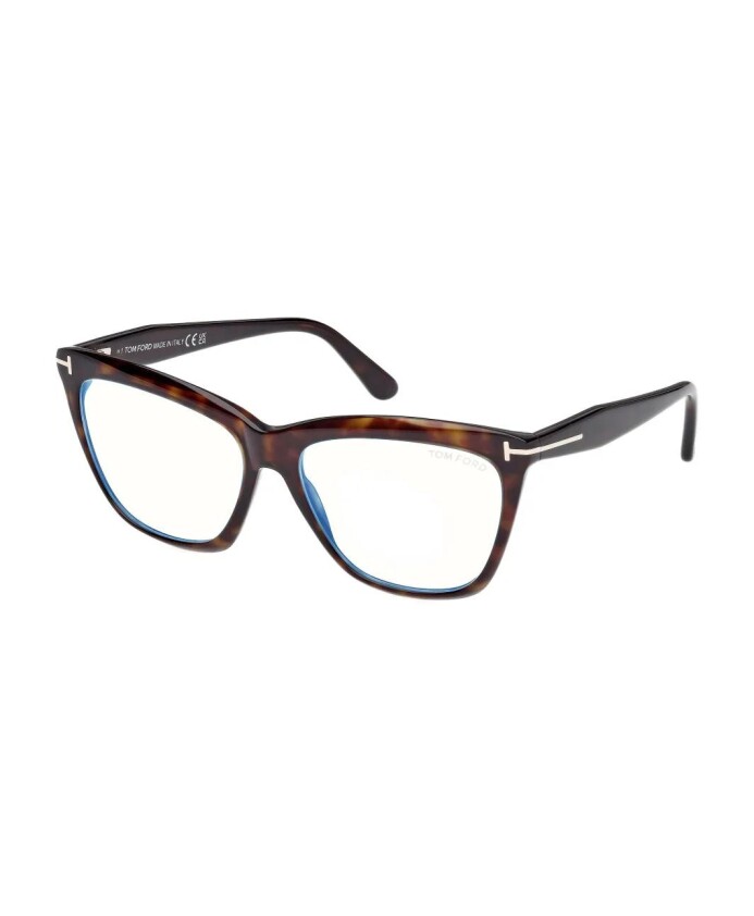 ft6064b-052-optical-frame