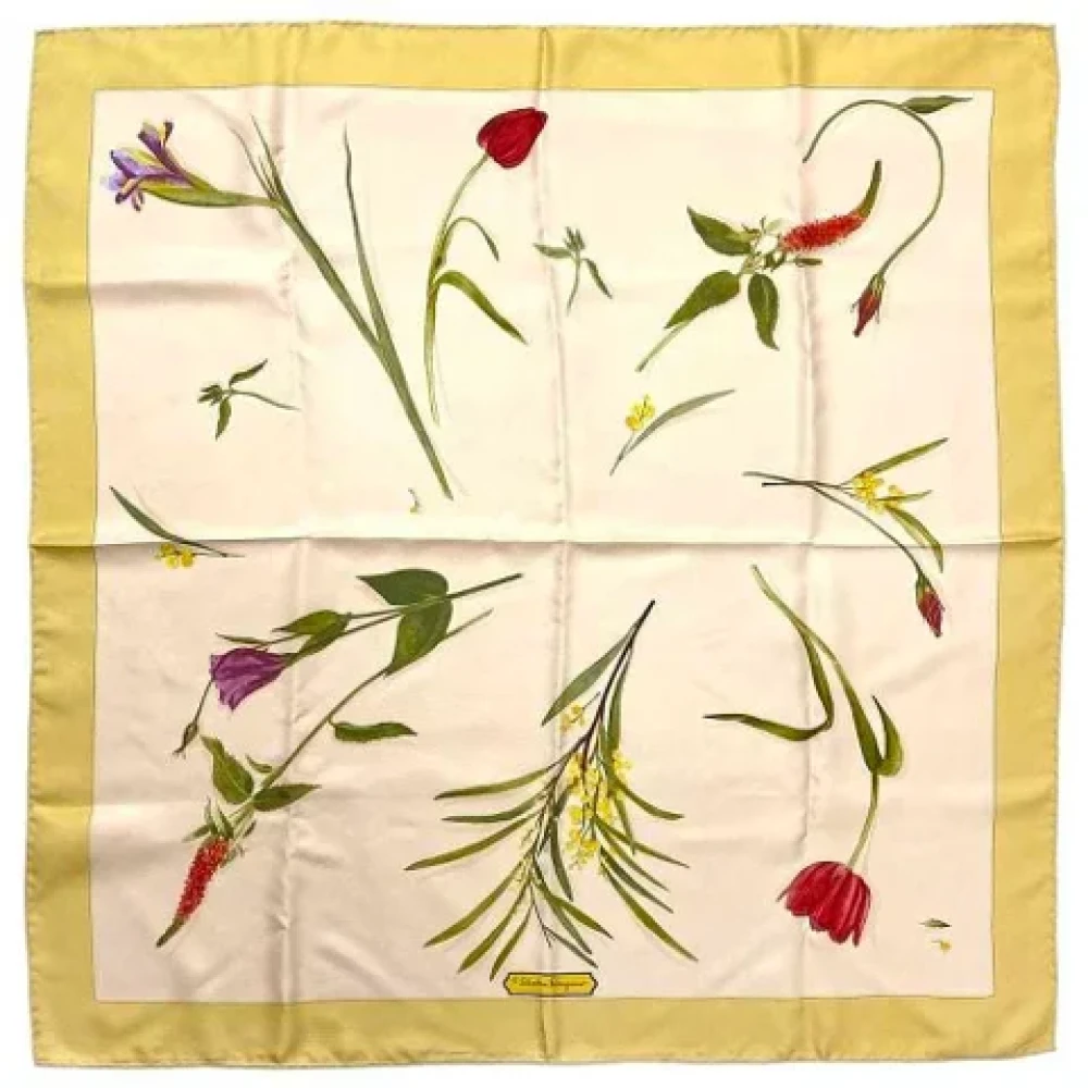 Salvatore Ferragamo Pre-owned Silk scarves Multicolor Dames
