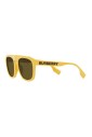 wren-sunglasses