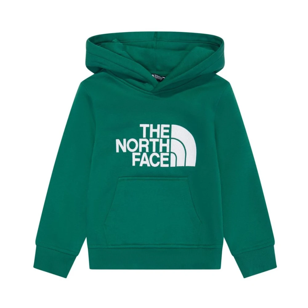 The North Face Groene Sweater Collectie Green Heren