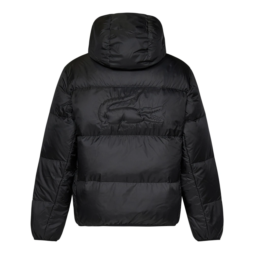 Lacoste Zwarte gewatteerde jas met capuchon Aw24 Black Heren