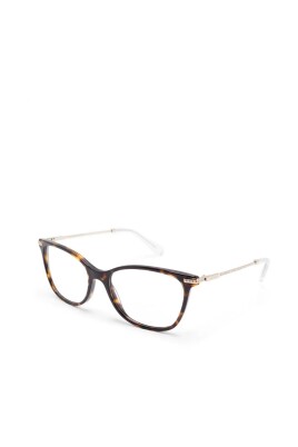 sk2010-1002-optical-frame