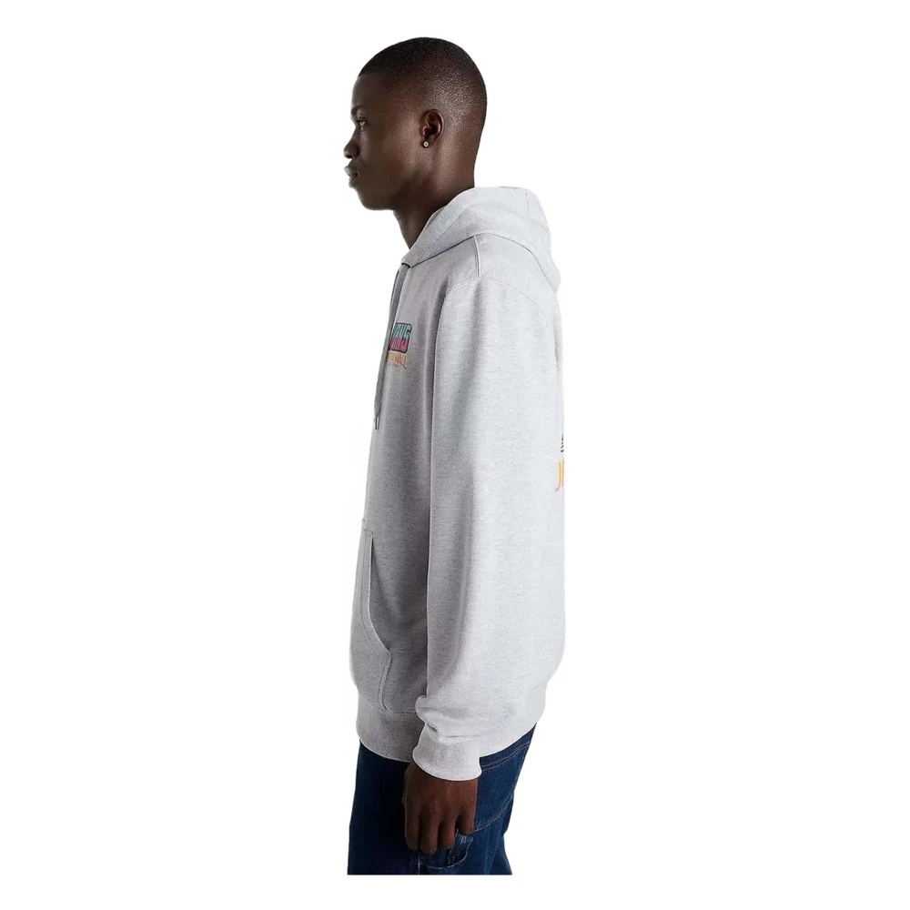 Vans Palm Cheers Classic Hoodie Gray Heren