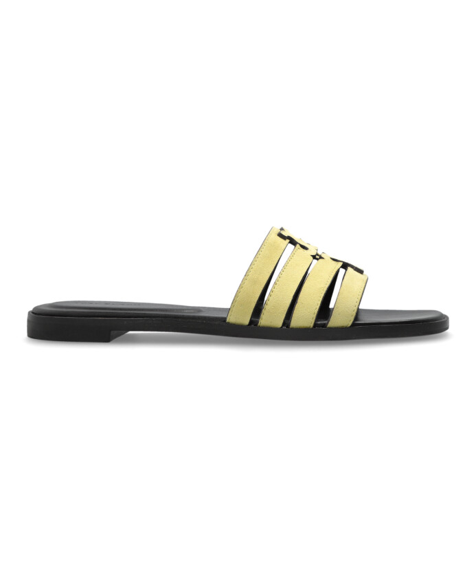 ines-slides