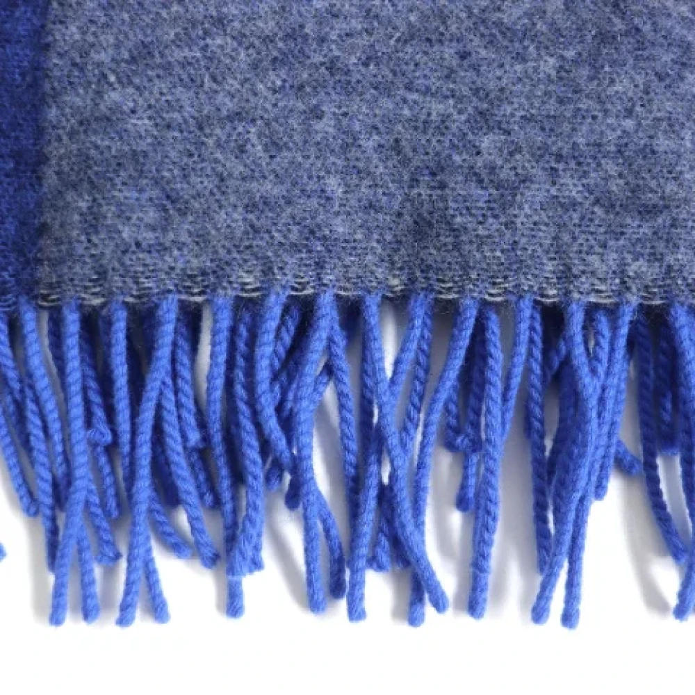 Louis Vuitton Vintage Pre-owned Wool scarves Blue Dames