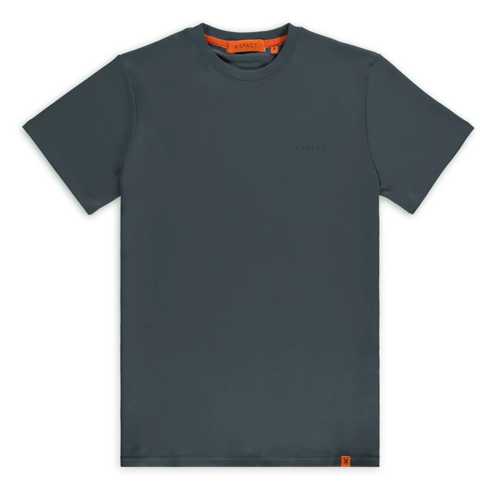 Aspact Raf Tee Dark Slate MiintoTitle Raf Tee Gray Heren