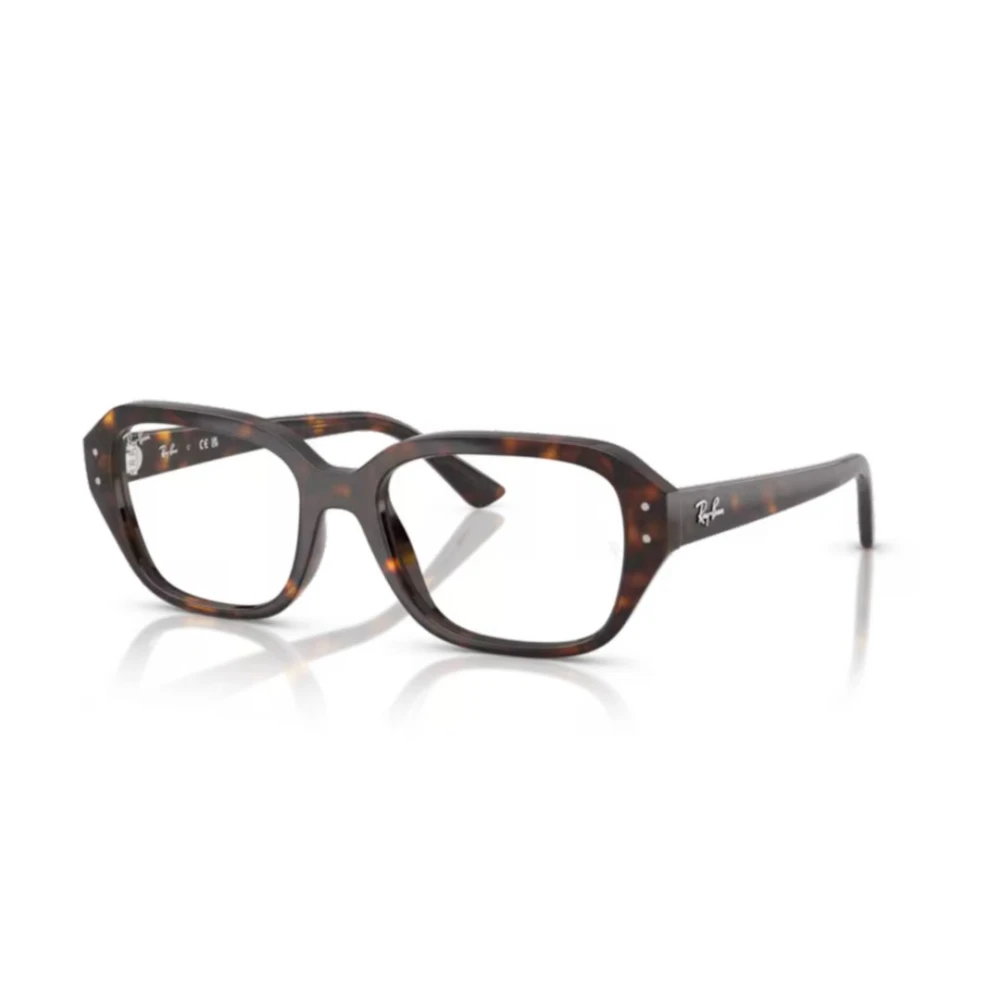 Ray-Ban Unisex Brown Vista Sunglasses - Glasses - 51 Mm - Accessories