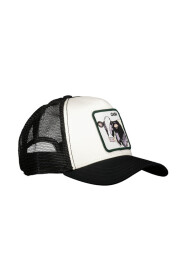 Cash Cow Cap