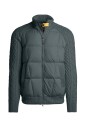 great-cardigan-hybrids