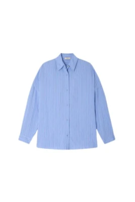 Dazik Shirt