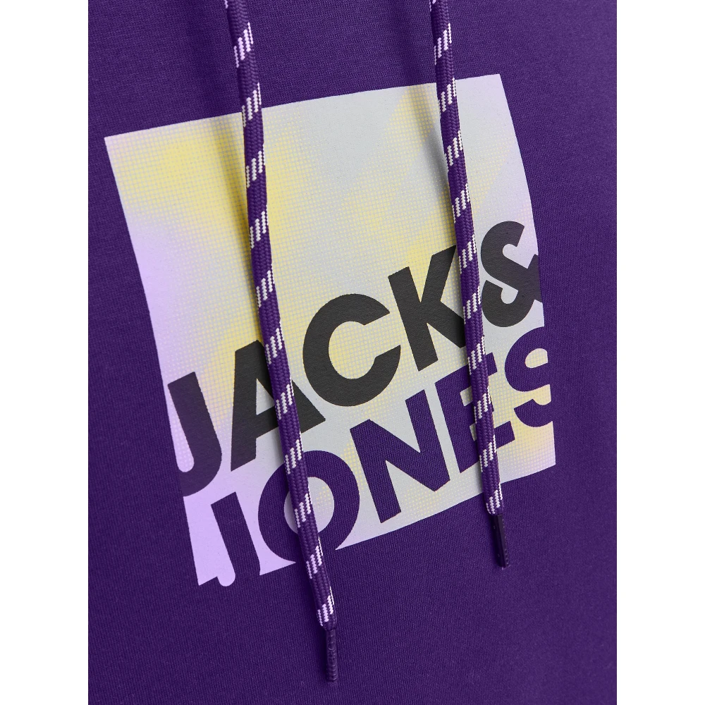 jack & jones Logan Hoodie Sweatshirt Purple Heren
