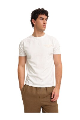 italian-art-t-shirt-print