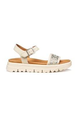 XAND 2.1S
