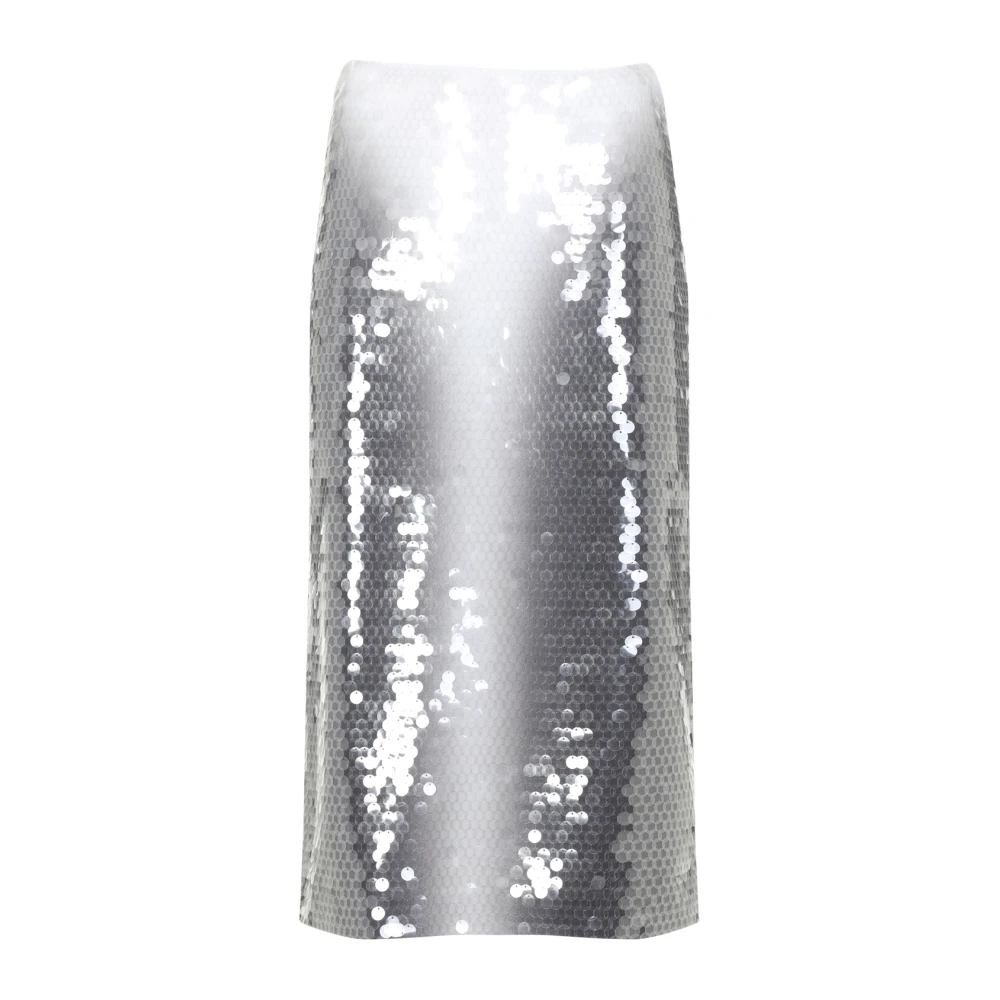 SPORTMAX Grijze Rok voor Vrouwen Elegante Stijl Gray Dames