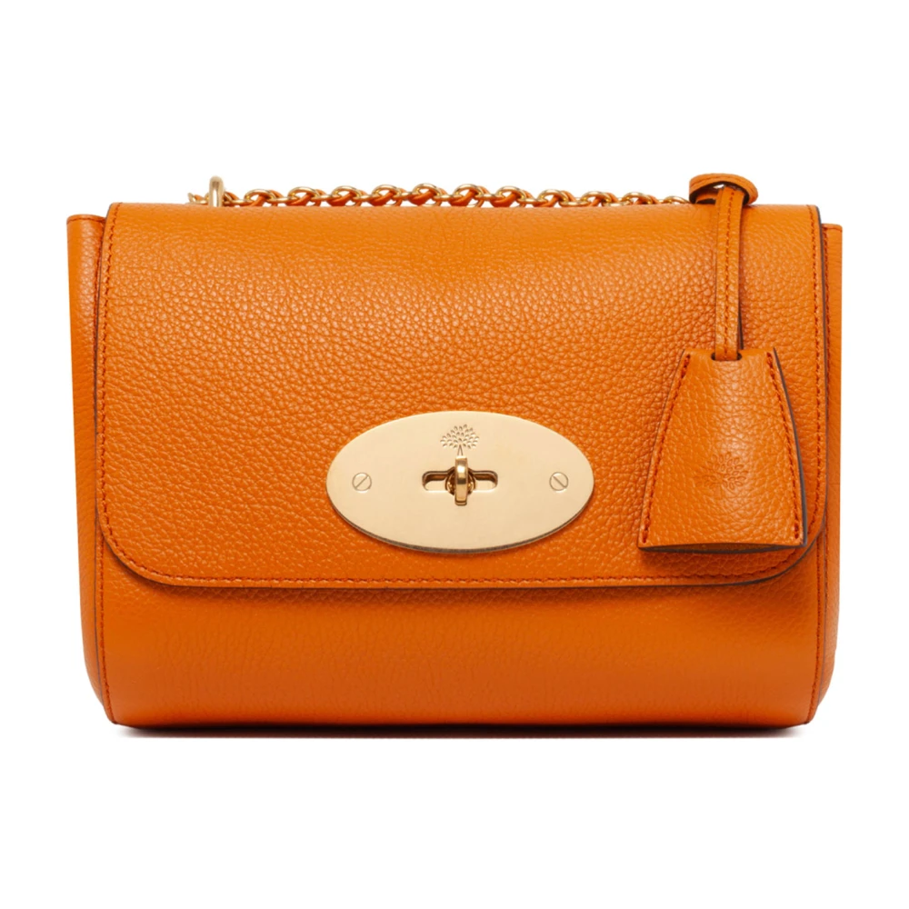 Mulberry Kleine Lily Schoudertas in Kameelbruin Orange Dames