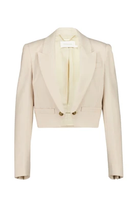 Hypnotic Cropped Blazer