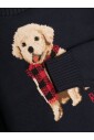 pulls-bleus