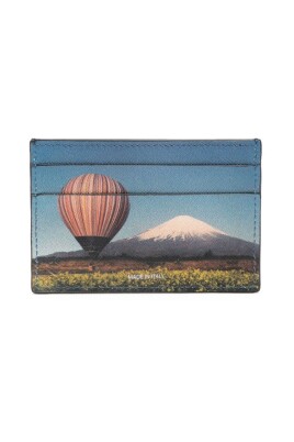 stripe-balloon-card-holder-with-mount-fuji-print