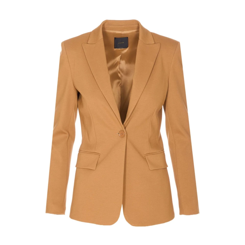 Pinko Women's Brown Silk Nylon Jacket