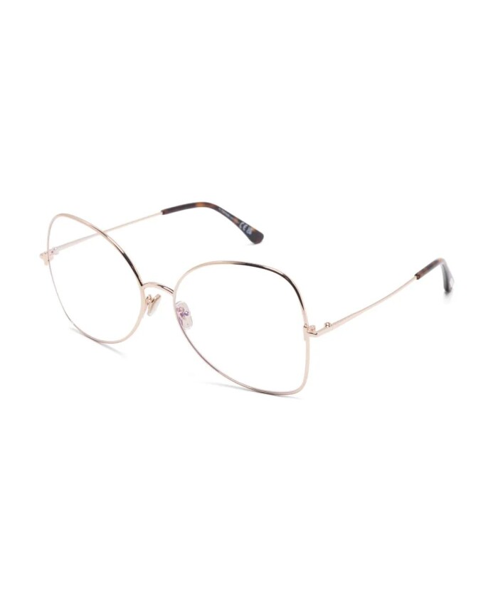 ft6049b-028-optical-frame