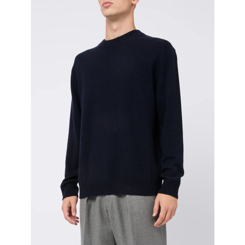 Daniele Fiesoli Kasjmier Trui Blauw Aw24 Blue Heren