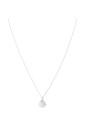 collier-aspen