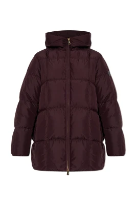 Darbon Down Jacket