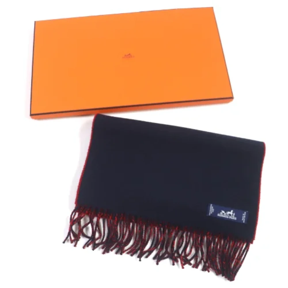 Hermès Vintage Pre-owned Fabric scarves Blue Heren