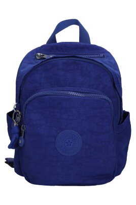 sacs-bleu