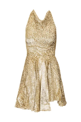 Fil Coupe Mini Dress