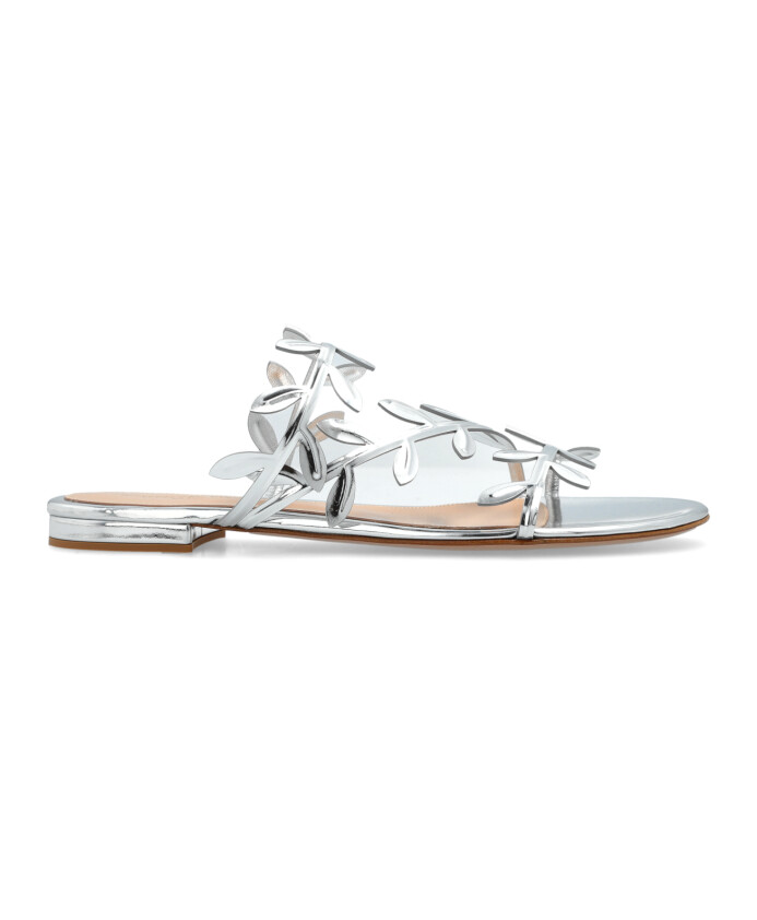 slides-flavia