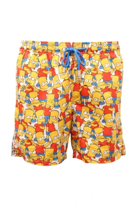 Gustavia Simpson Town