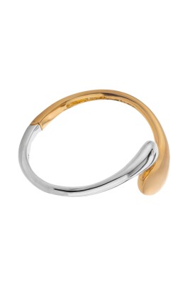 elegant-platinum-and-gold-bangle
