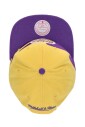 lsu-tigers-basketball-cap-snapback