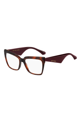 stylish-eyewear-frames-in-havana-color