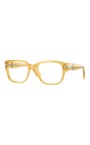 lunettes-elegantes-en-couleur-204