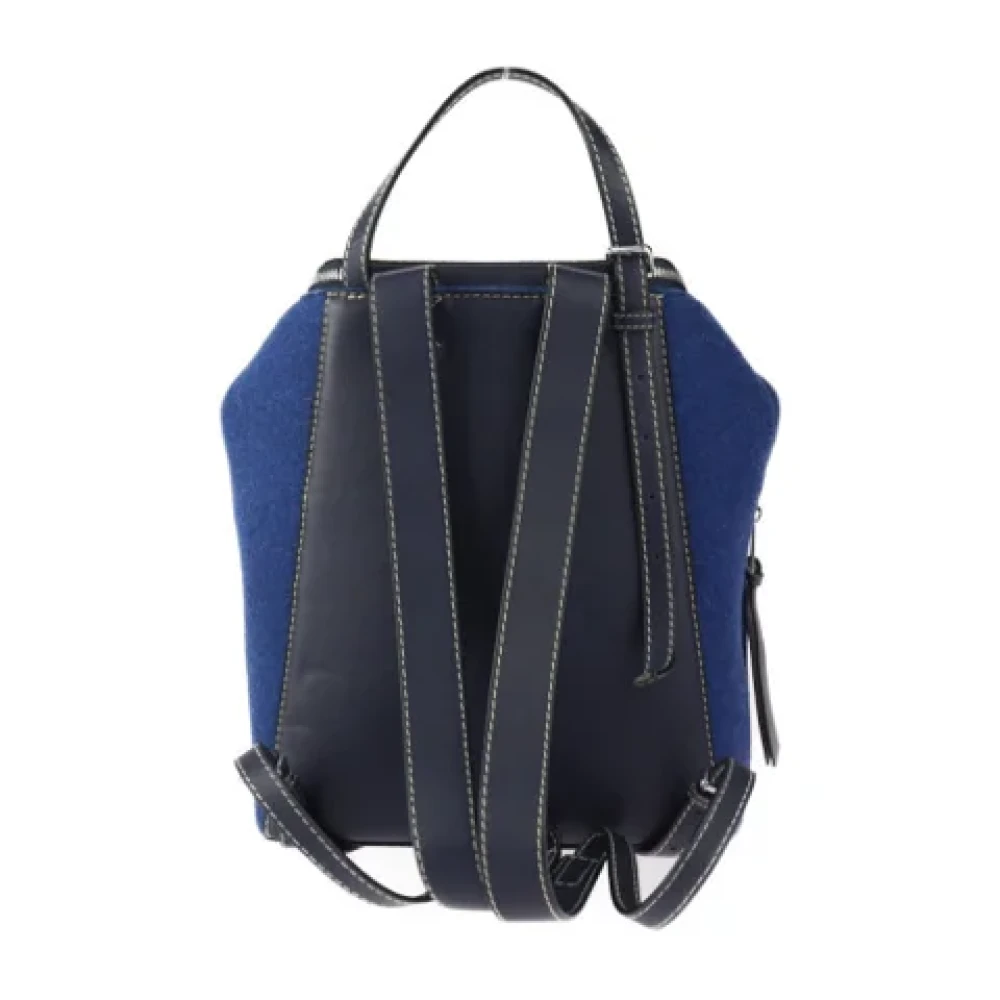 Loewe Pre-owned Leather shoulder-bags Blue Dames