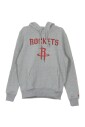 team-logo-hoodie-licht-grijs