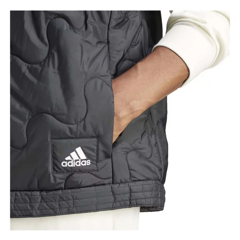 Adidas Toekomstige iconen Badge of Sport hoodie White Heren