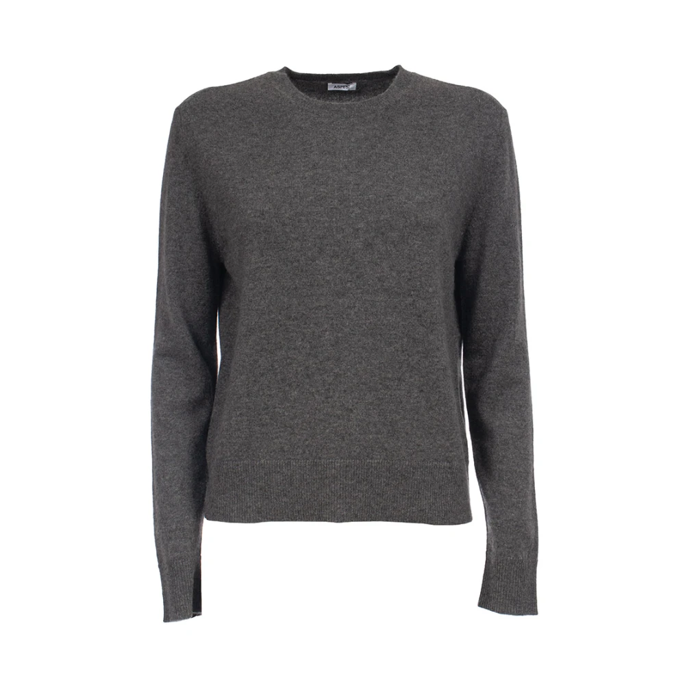 Aspesi Pure Cashmere Ribgebreide Trui Gray Dames
