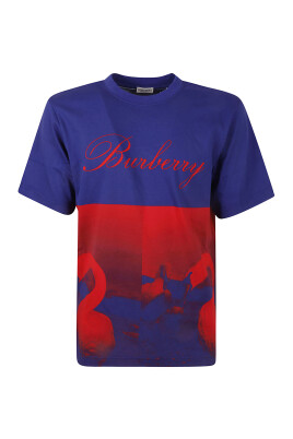 t-shirts-et-polos-graphiques-swan-elegants