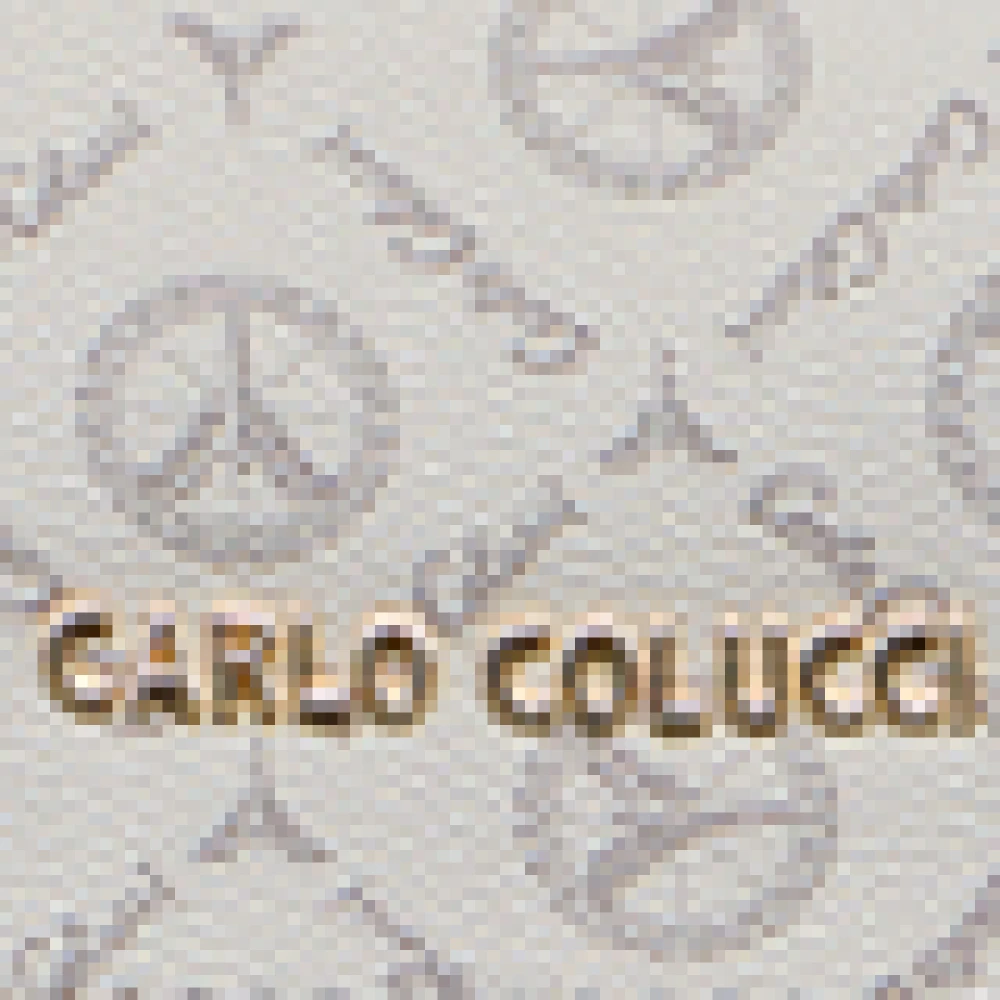 carlo colucci Elegante Business Tas met Logoprint Gray Heren