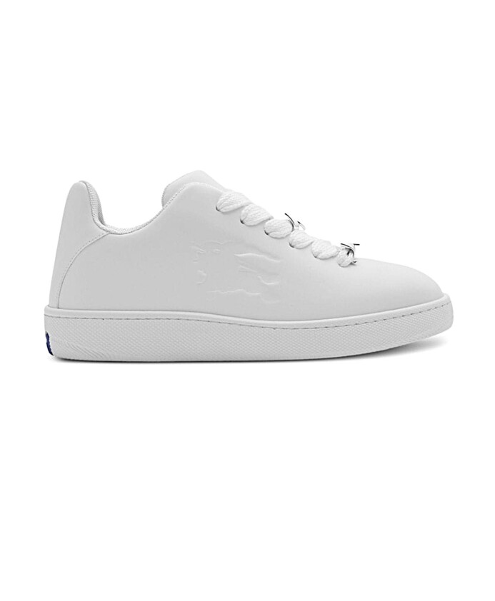 stylish-sneakers-storage-box