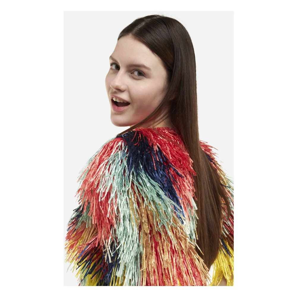 Elisabetta Franchi Multicolor Geborduurd Kort Jasje Multicolor Dames