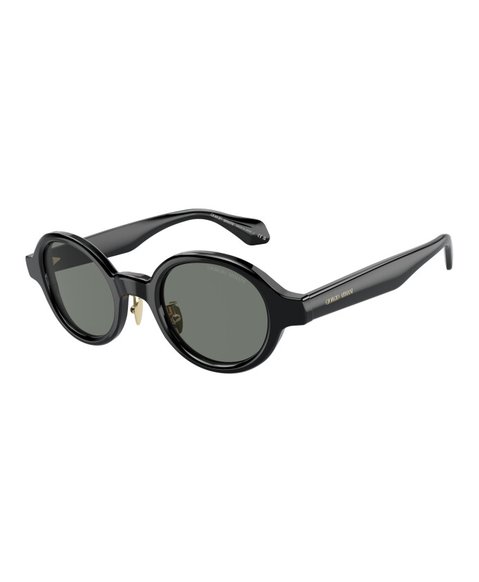 zonnebril-ar8205-model-6060-1
