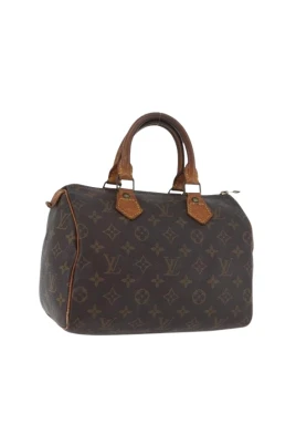 Pre-owned Speedy 25 Hand Bag