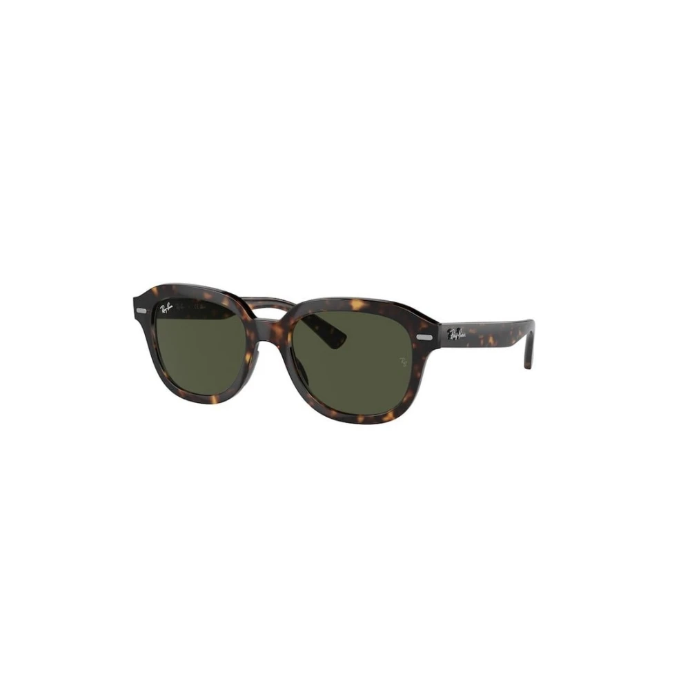 Ray-Ban Unisex Brown Erik Sunglasses