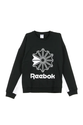 Big Logo Crewneck Sweatshirt