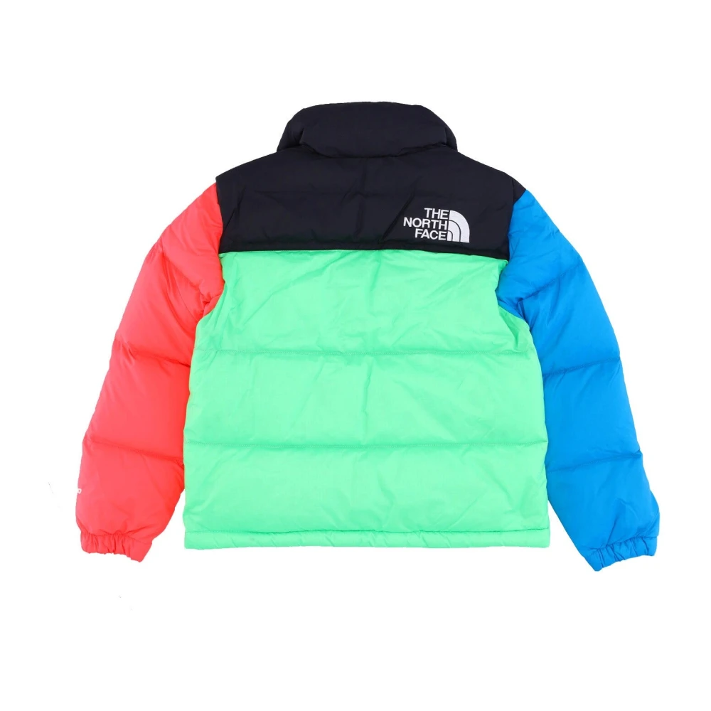 The North Face Retro Nuptse Donsjack Chlorophyll Groen Multicolor Heren