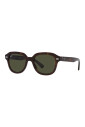 lunettes-de-soleil-classiques-erik-pour-icones-de-style
